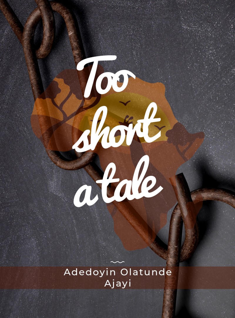 Too Short a Tale - Adedoyin Olatunde Ajayi (eBook)