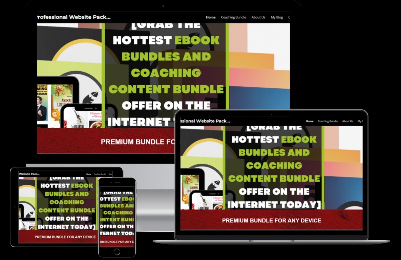GET A PROFESSIONAL PLR WEBSITE LOADED WITH PREMIUM DIGITAL MATERIAL