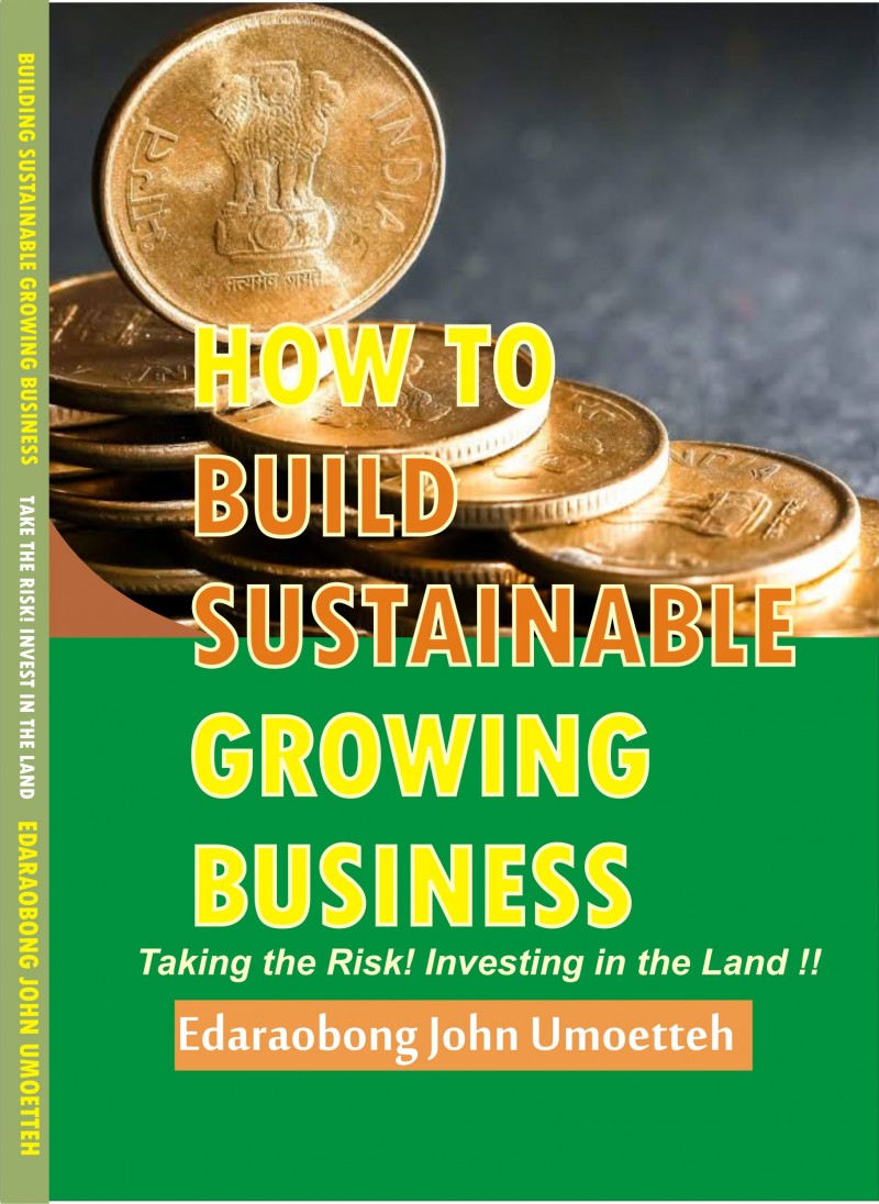Buy How To Build Sustainable Growing Business By Edaraobong John