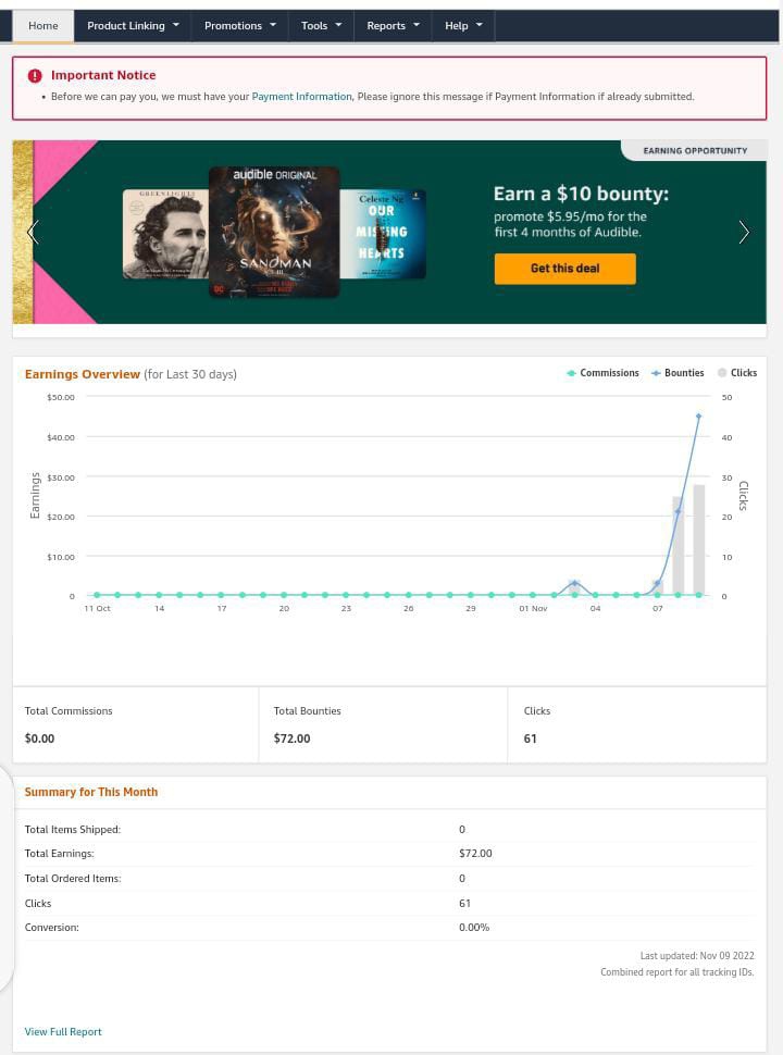 Customer review 11