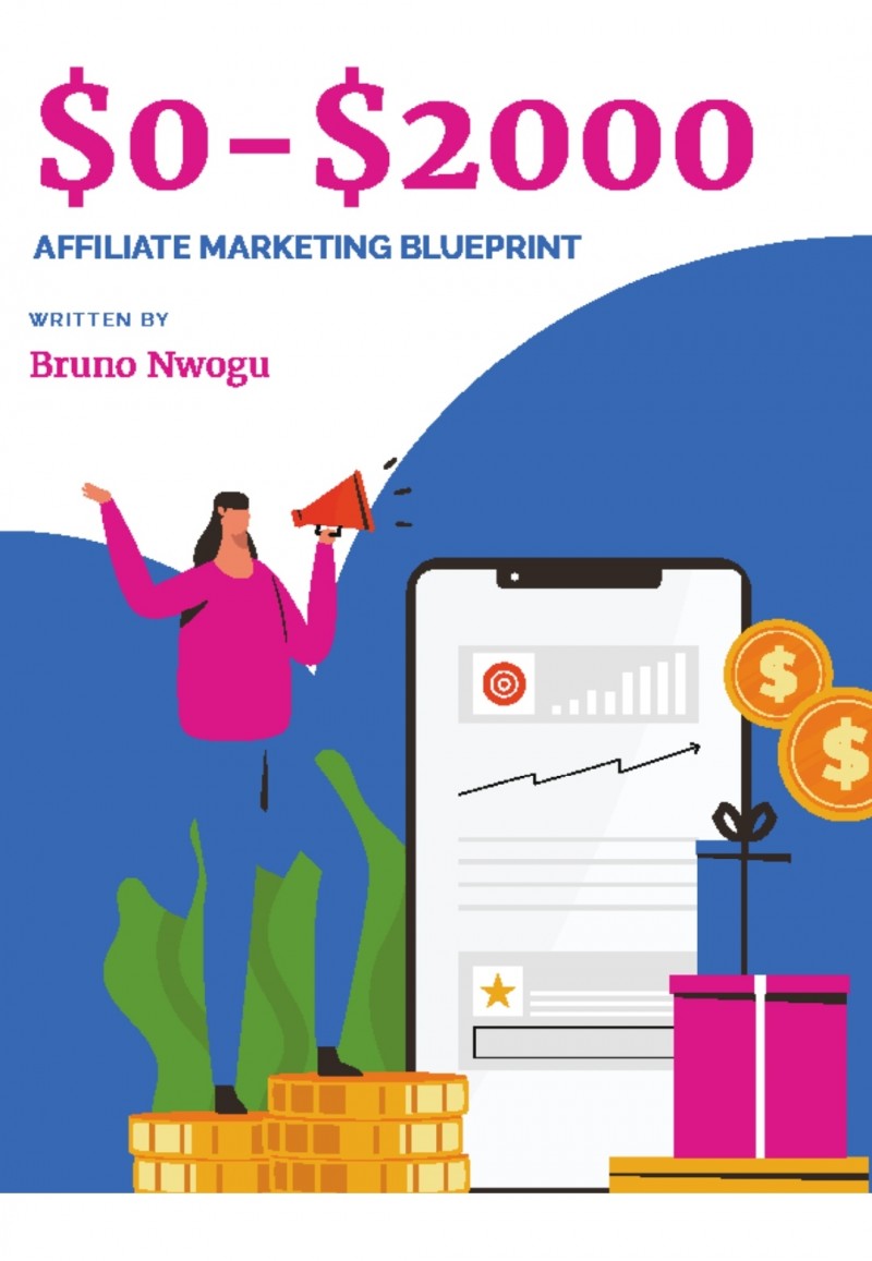 Buy 0$ to 2000$ affiliate marketing blueprint by Ngumezi Chinonye on Selar