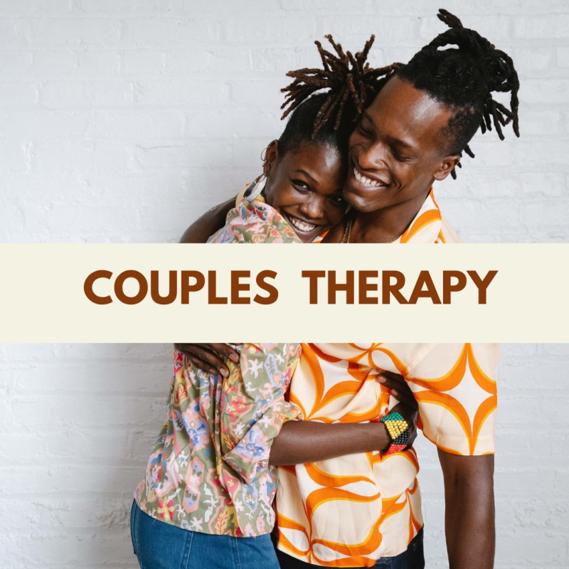 Buy Couples Therapy by Basilia Frankel on Selar