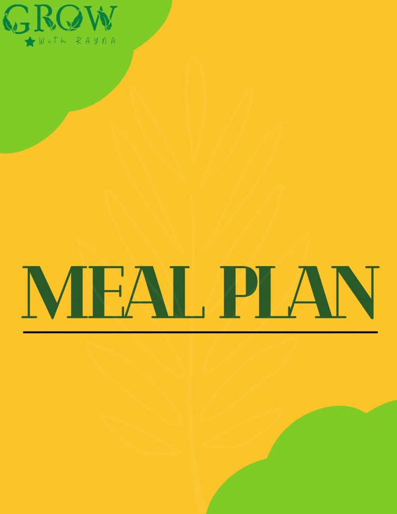 buy-school-lunch-meal-plan-premium-by-rayna-olohitare-iseghoede-on-selar