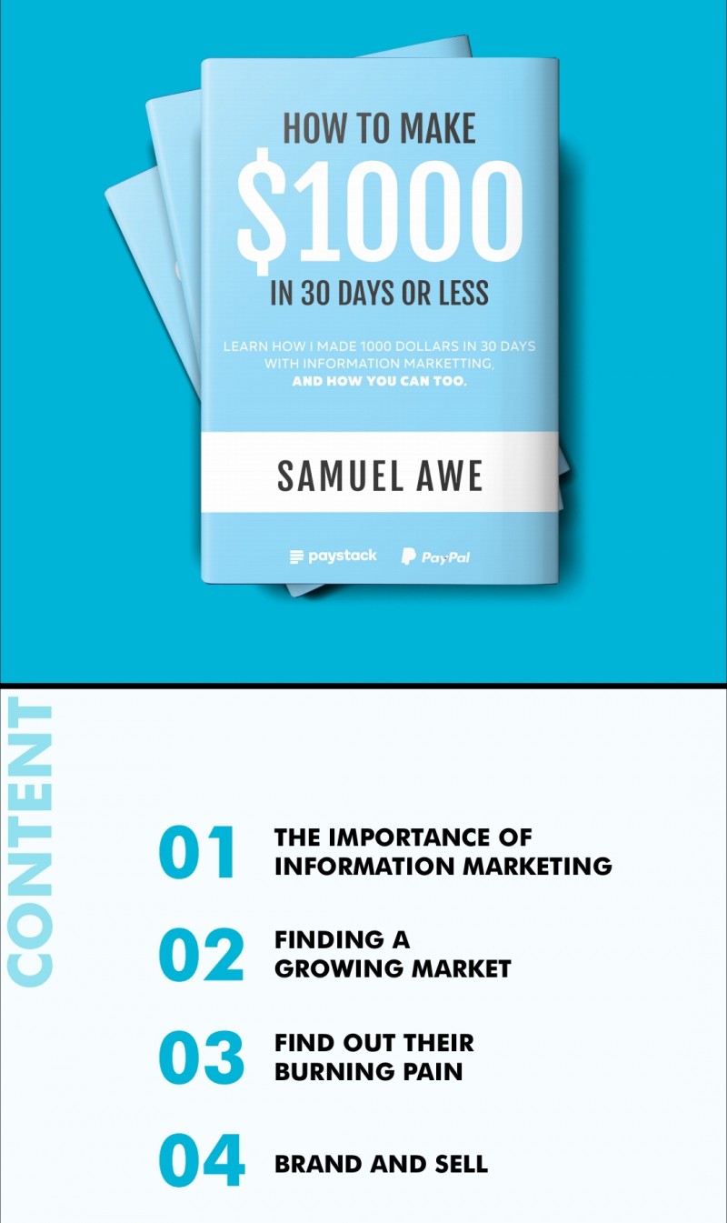 get-how-to-make-1000-dollars-in-30-days-by-ishaq-tijjani-usman-on-selar