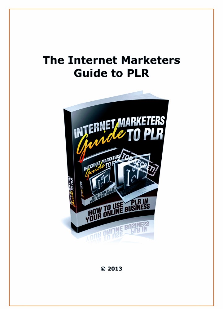 Buy THE INTERNET MARKETERS GUIDES TO PLR by BASHIR UMAR on Selar
