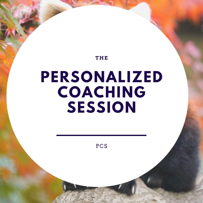 Personalized Coaching Session (PCS) with Joan Anuoluwa Ologundudu