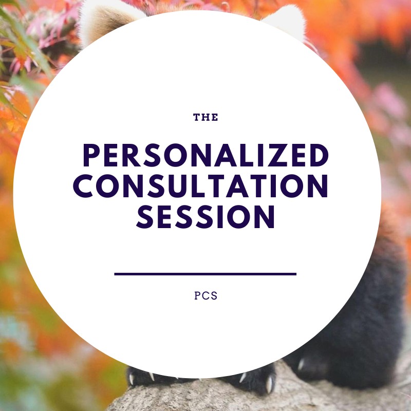 Personalized Consultation Session with Joan Anuoluwa Ologundudu