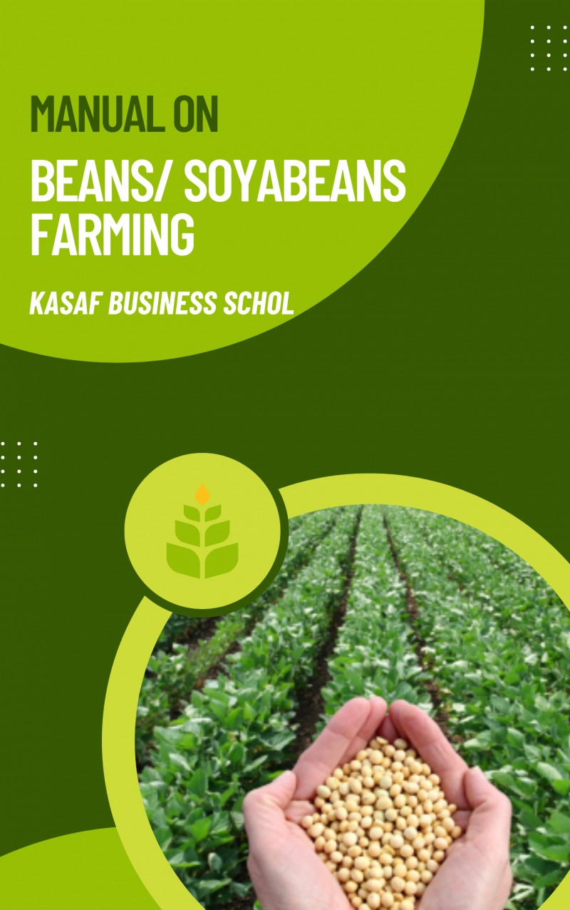 Buy BEANS & SOYABEANS FARMING by KASAF Business School on Selar.co