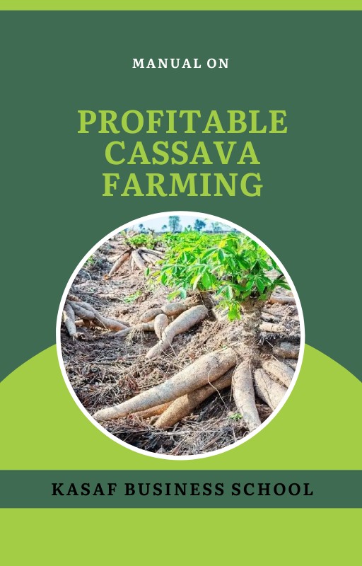 Buy PROFITABLE CASSAVA FARMING by KASAF Business School on Selar.co