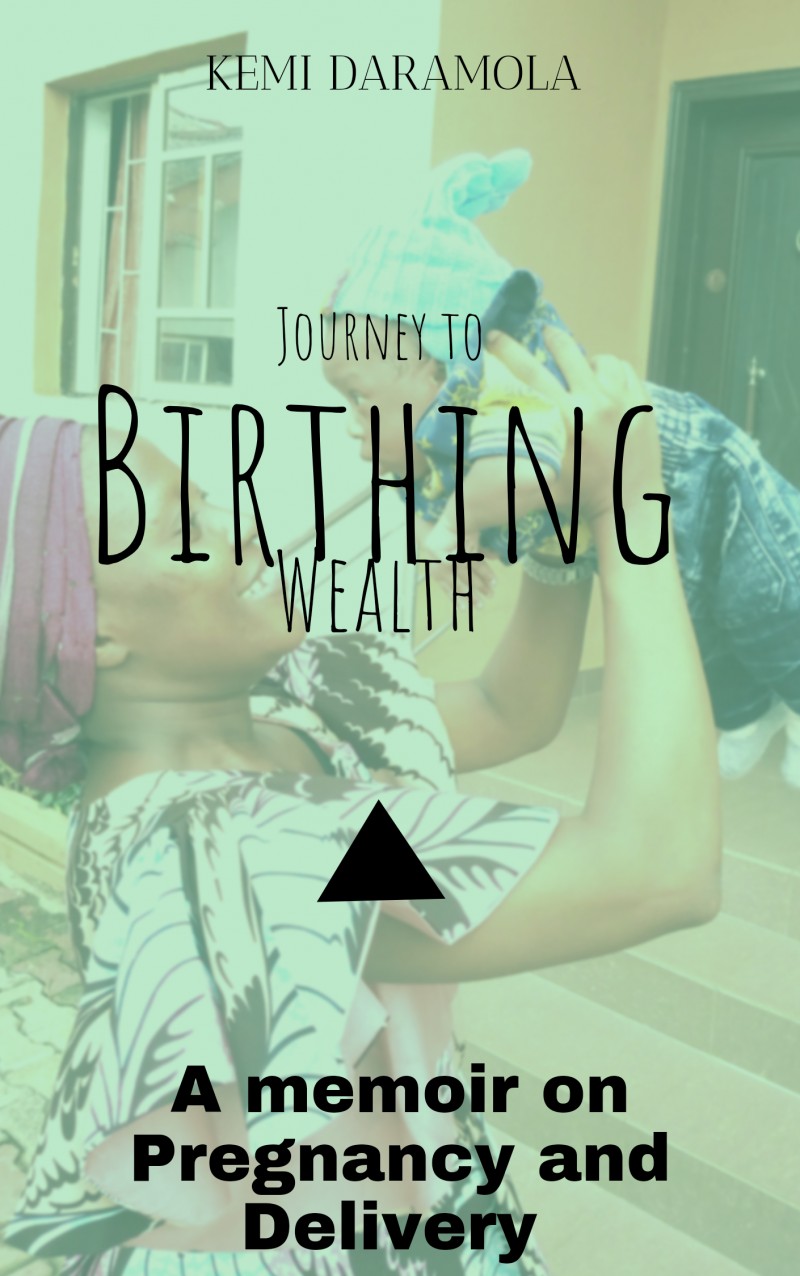 get-journey-to-birthing-wealth-by-kemi-daramola-on-selar