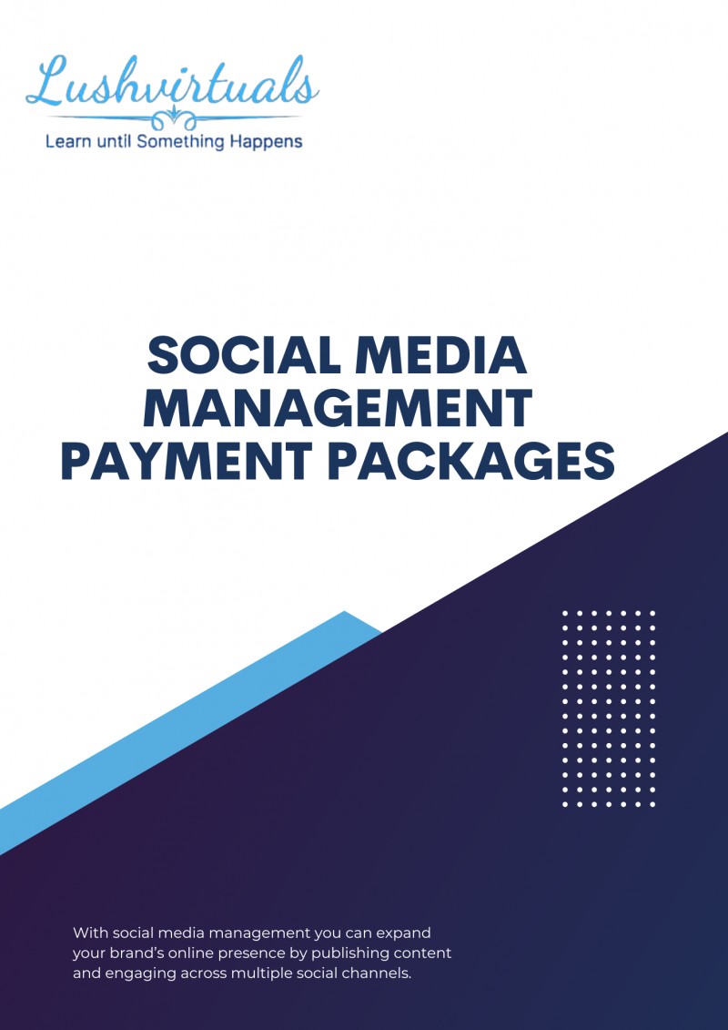 Lushvirtuals Social Media Management Packages