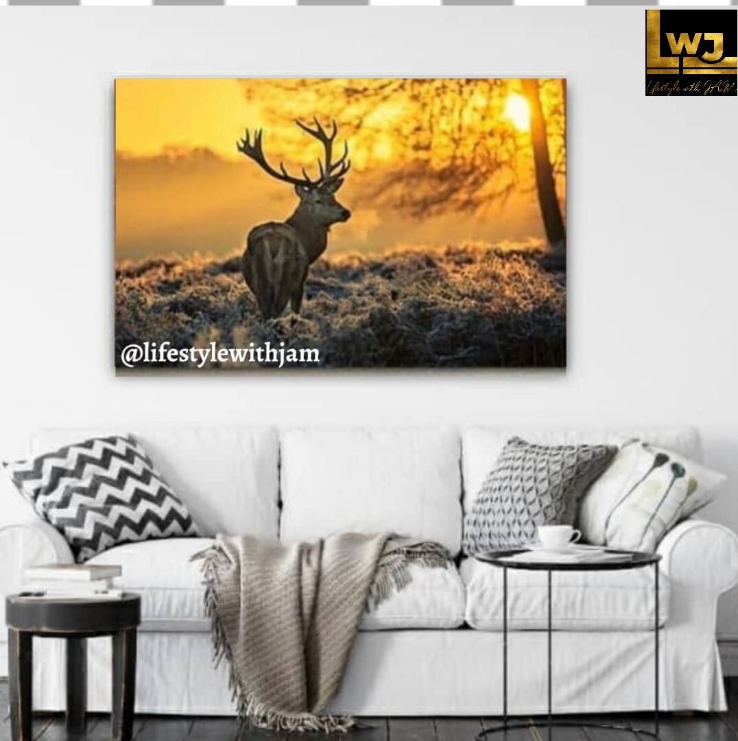 Wall Frames/Canvas