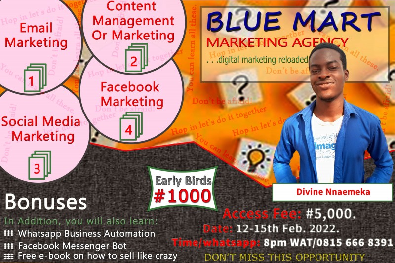 Buy Digital Marketing course by Nnaemeka Divinefavour Chidubem on Selar