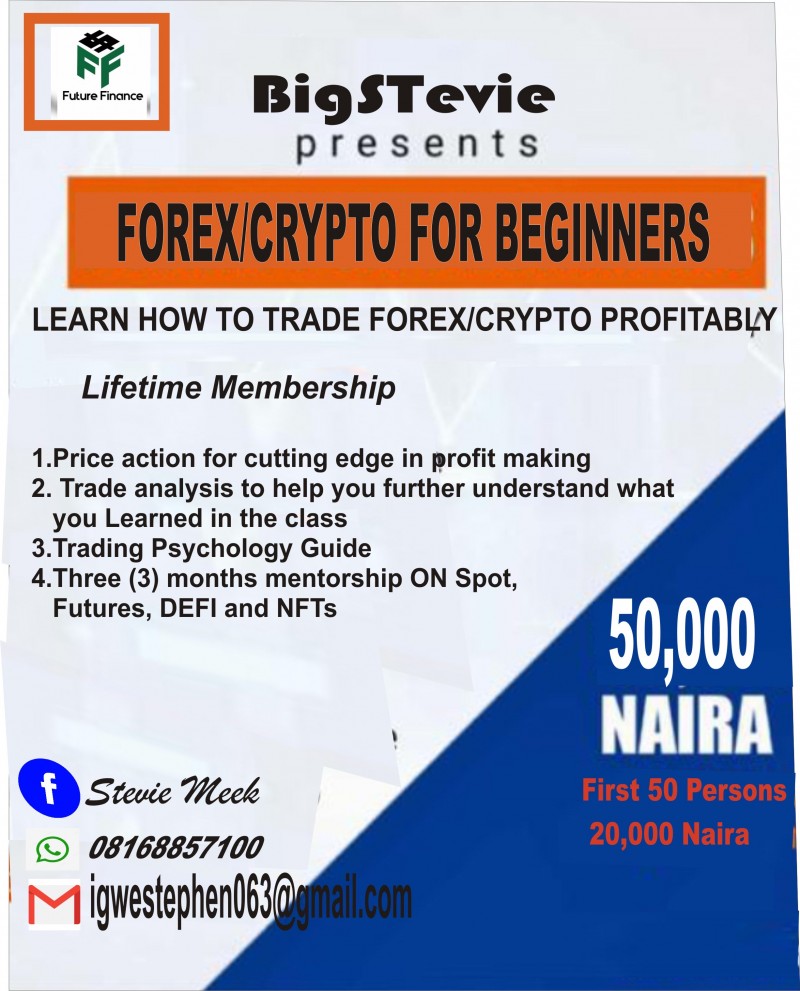 Buy FOREX/CRYPTO FOR BEGINNERS/PRO LEARN HOW TO TRADE FOREX/CRYPTO  PROFITABLY by Stevie Meek on Selar