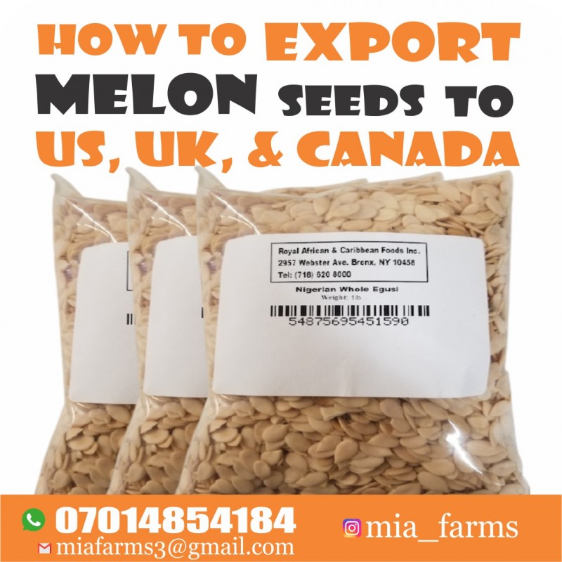 Buy MELON SEED EXPORT & BUYERS by MIA Farms on Selar.co