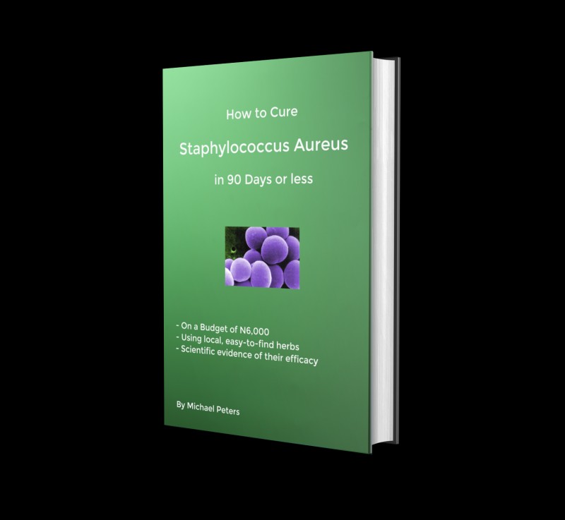 Buy How to Cure Staphylococcus Aureus in 90 Days or less by Michael