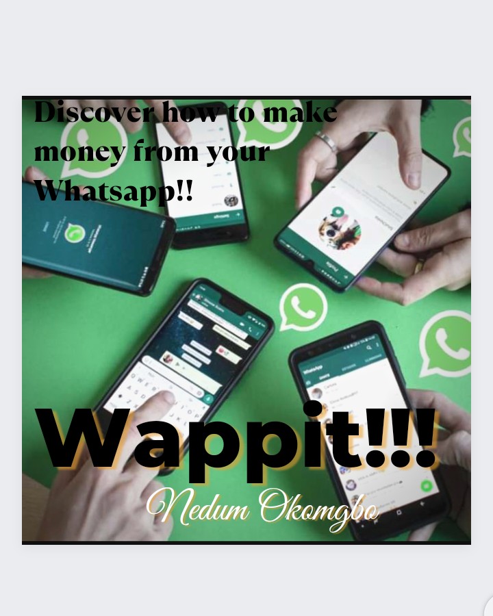 Wappit;  How to make money from your WhatsApp