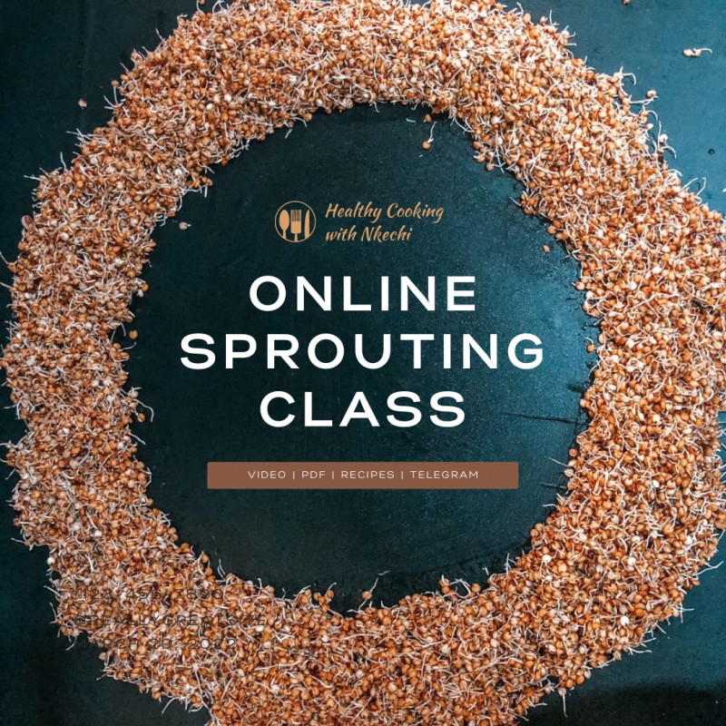 Grains Sprouting Class