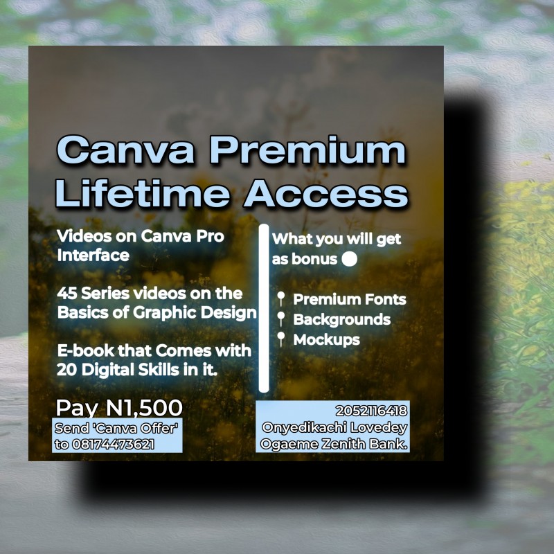 Does Canva Offer Discounts