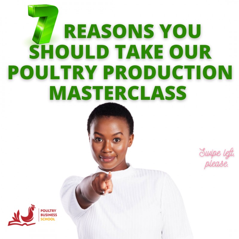 The Poultry Production Masterclass