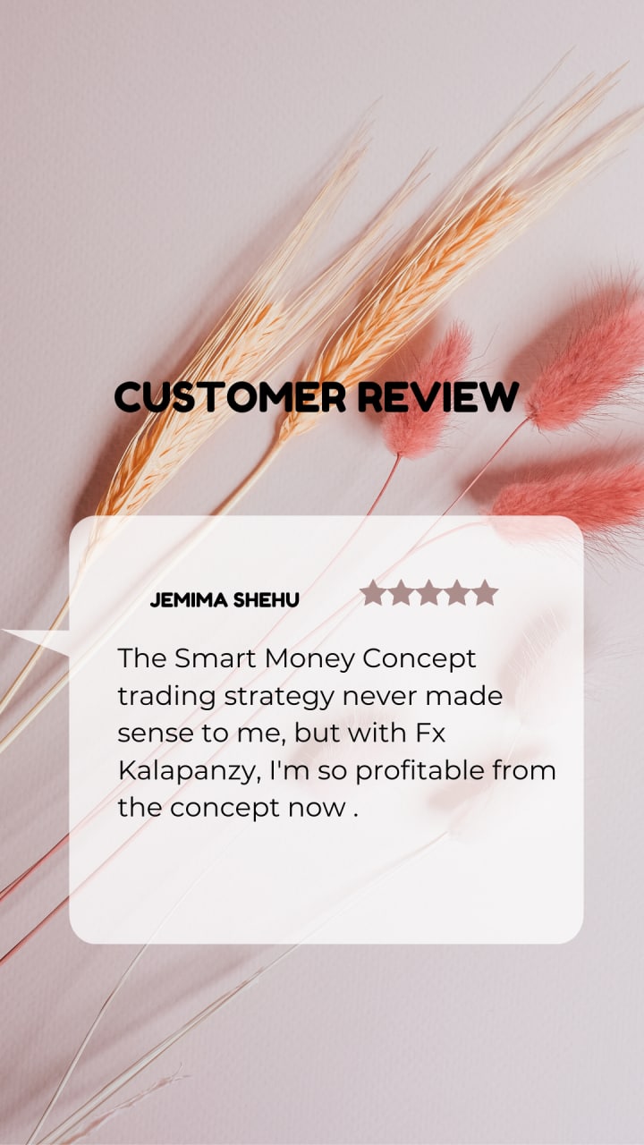 Customer review 2
