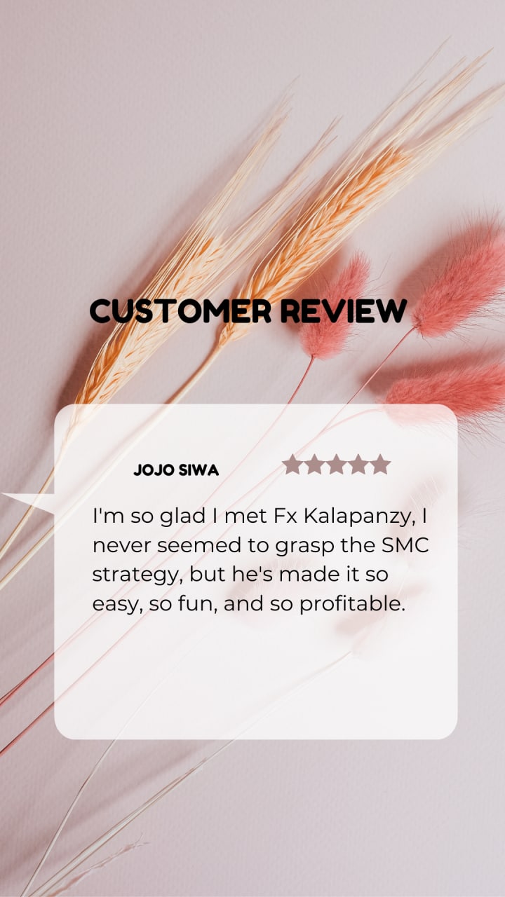 Customer review 3