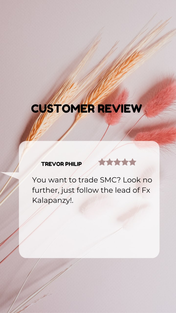 Customer review 4