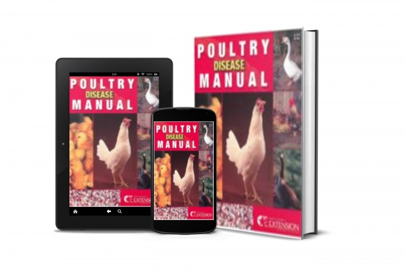 UNDERSTAND VARIOUS DEADLY AND COMMON DISEASES OF POULTRY BIRDS. CLICK ON THE ORDER BUTTON NOW TO PAY N1,500 ONLY