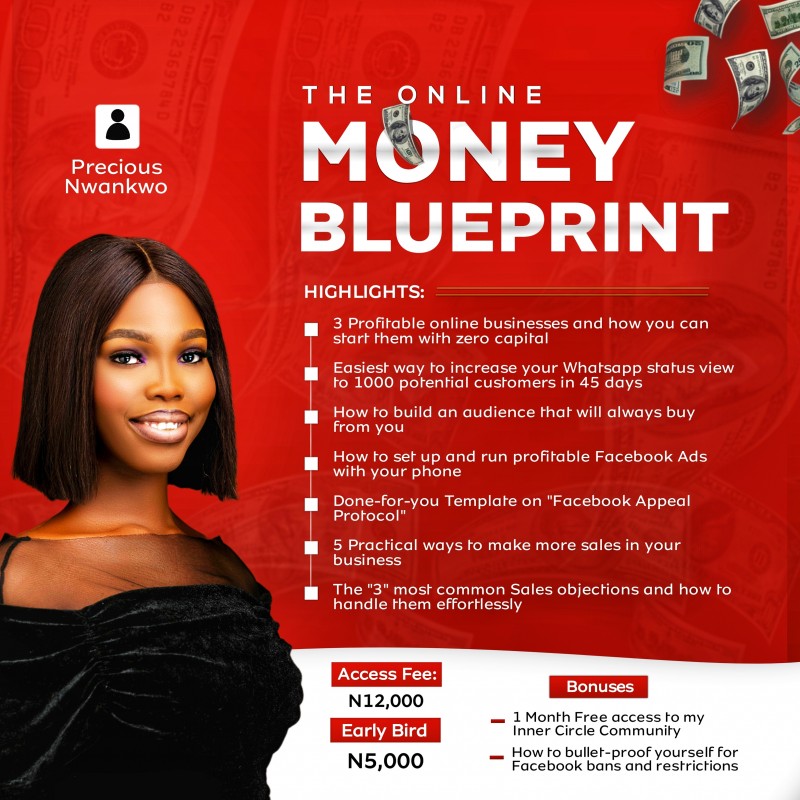 Buy The Online Money Blueprint by Precious Nwankwo on Selar