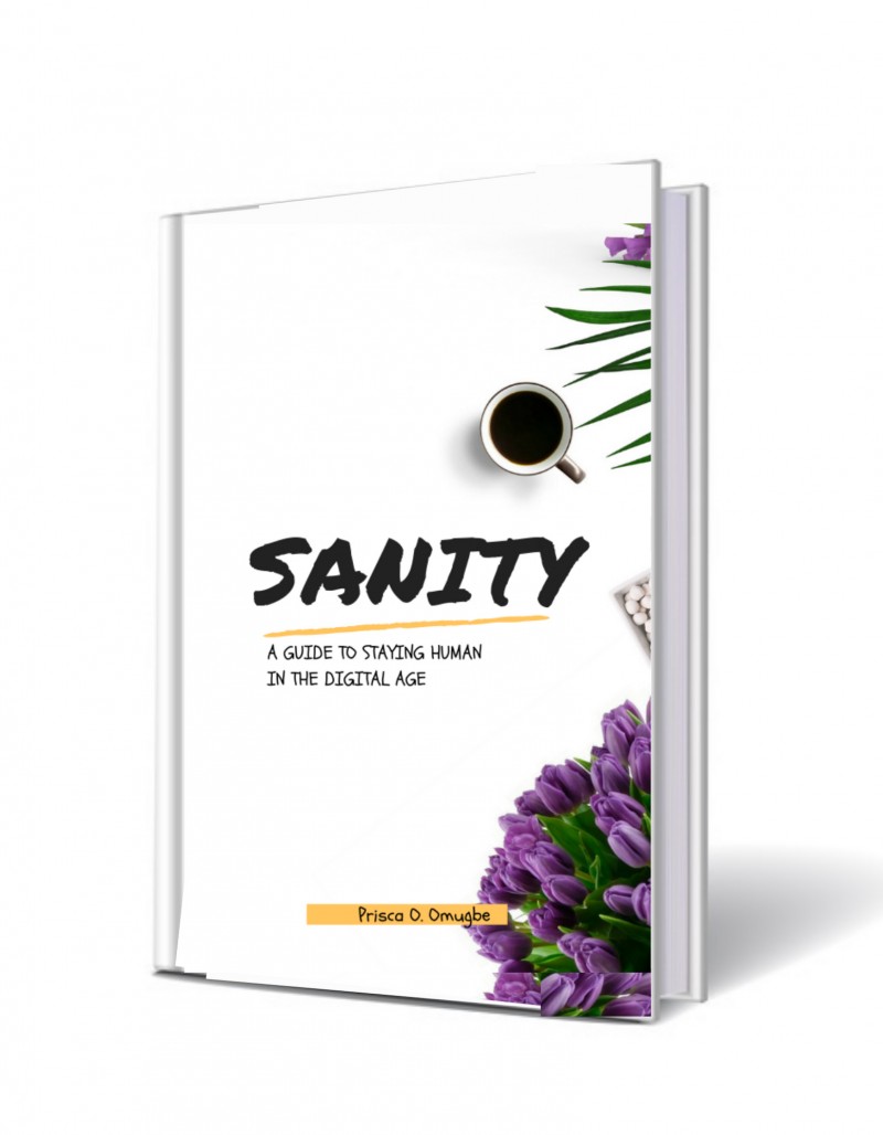 Sanity Ebook