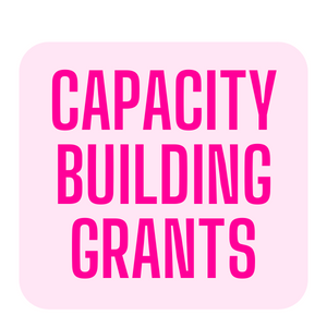 CAPACITY BUILDING GRANTS FOR NONPROFITS
