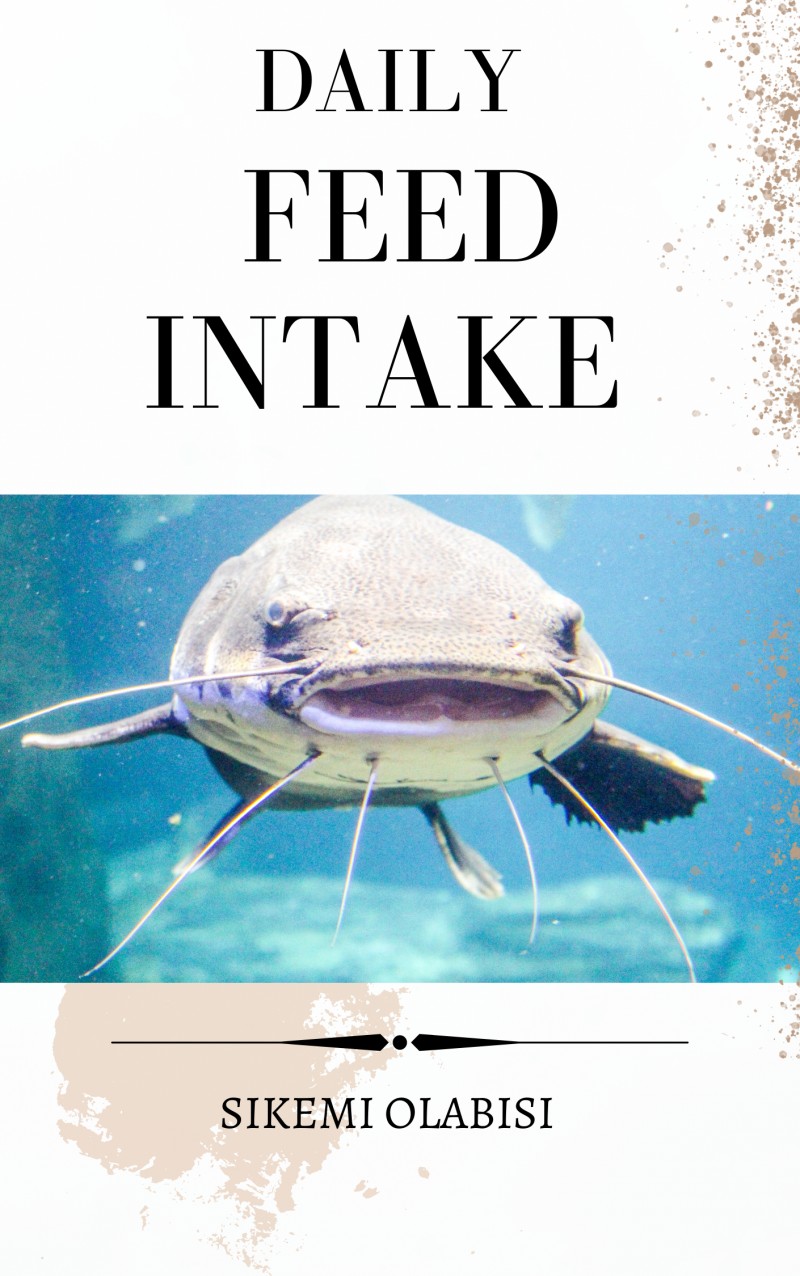 Buy Catfish Daily Feed Chart by Olabisi Oluwasikemi on Selar.co