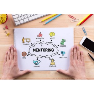 Erudite Mentorship