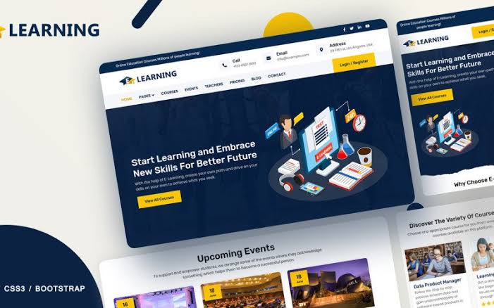 Pro Web Design Courses