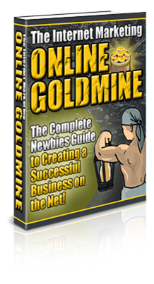 The Complete Newbies Guide To Creating A Successful Business On The Net