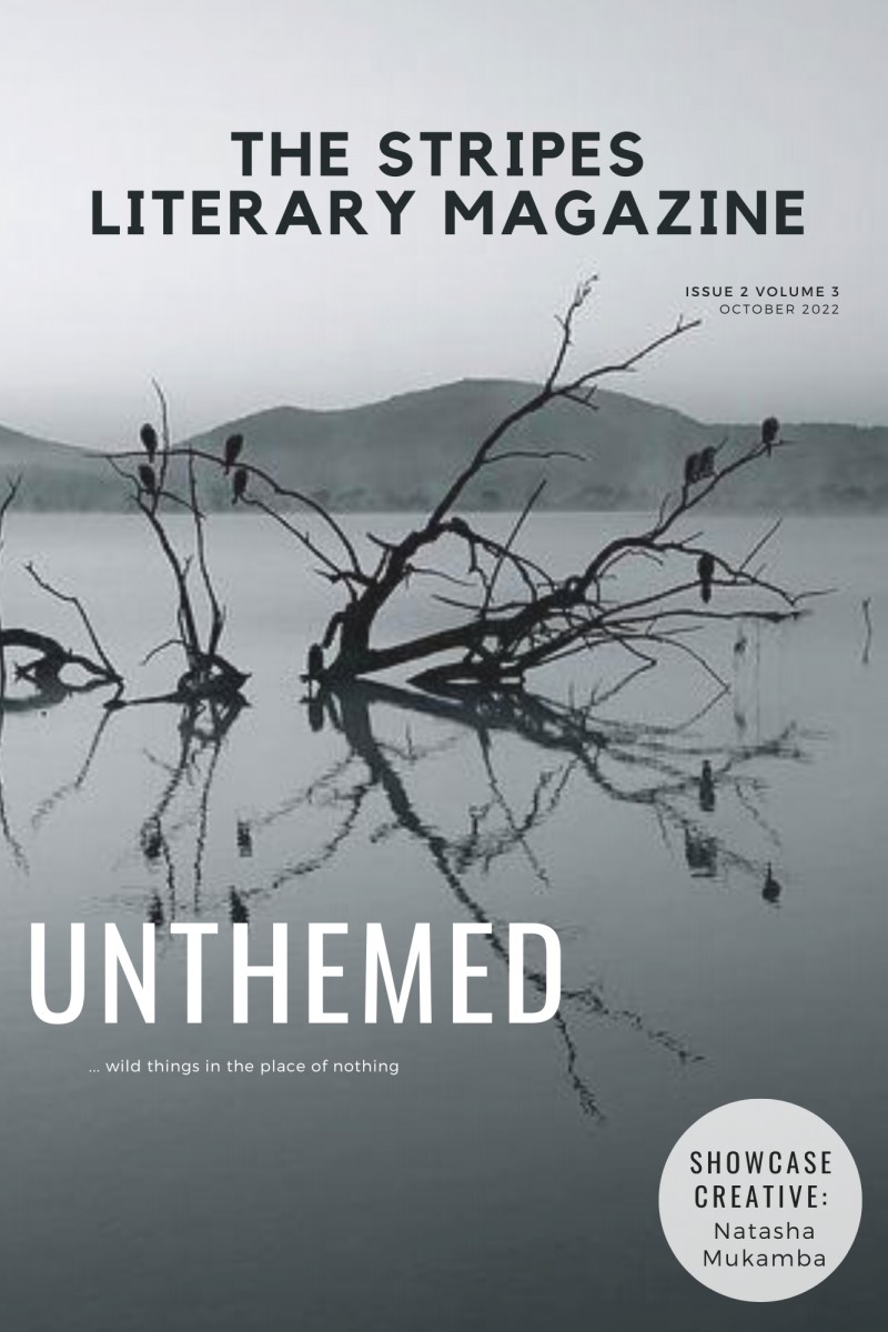 Unthemed: Stripes Literary Magazine Issue 2: Volume 3