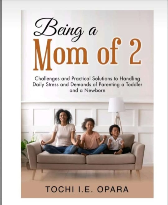 Being a Mom of 2 E-book