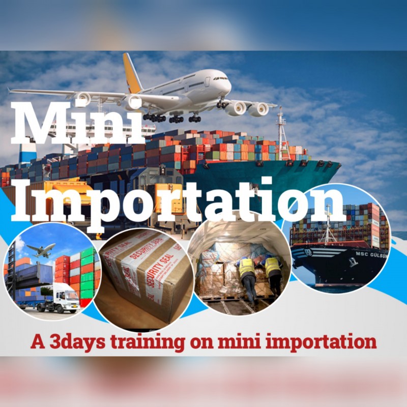 Buy Mini Importation 3.1 by Ndip Veronica Ngecher on Selar