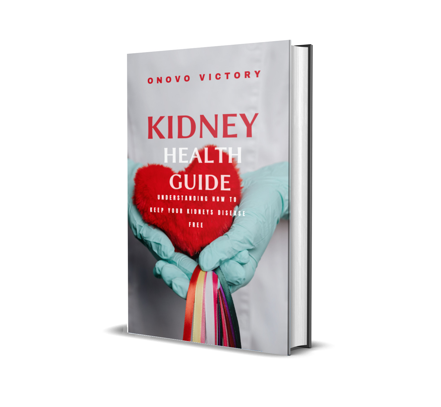 Kidney health guide; Understanding how to keep your Kidneys free from disease