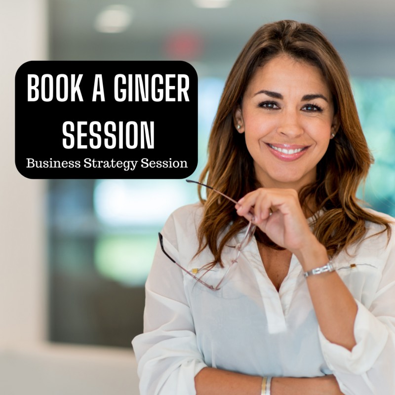 Ginger Session - Business Consultation Session