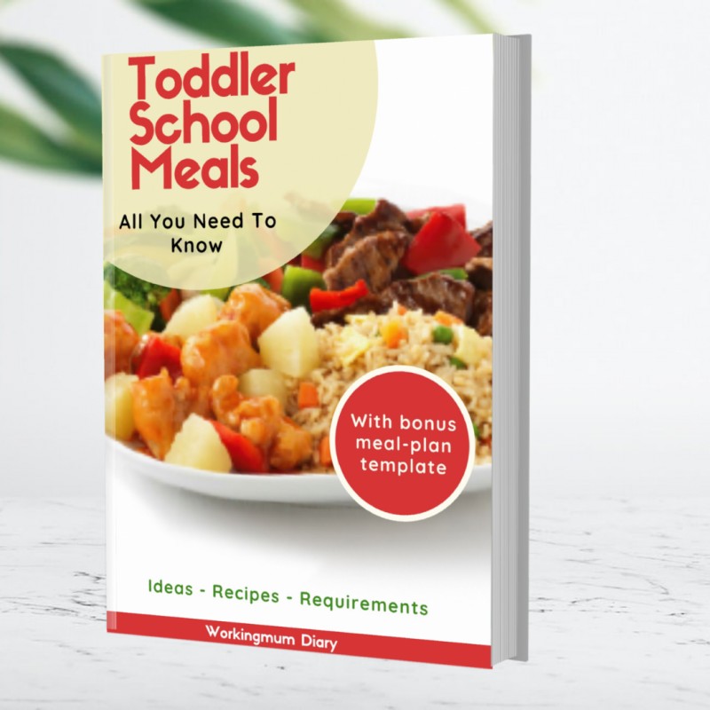Toddler School Meals Ebook