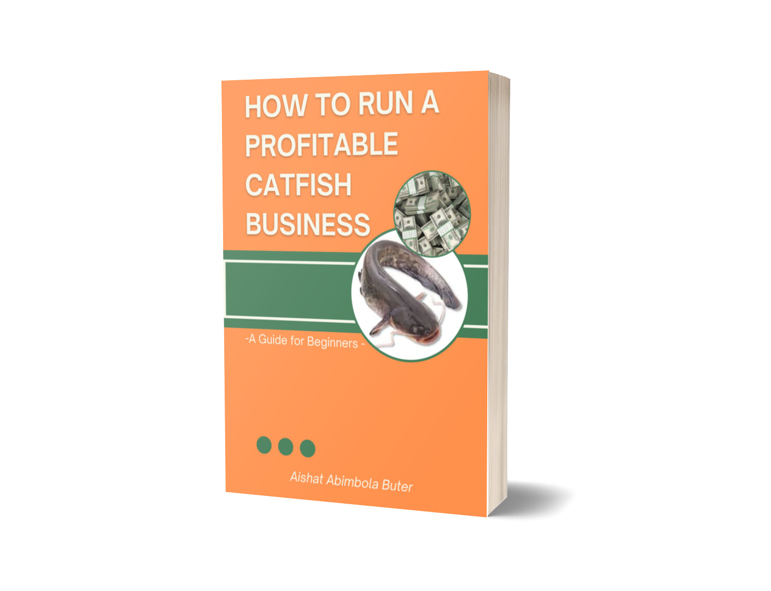 How to run a profitable Catfish Business-Guide for Beginners-
