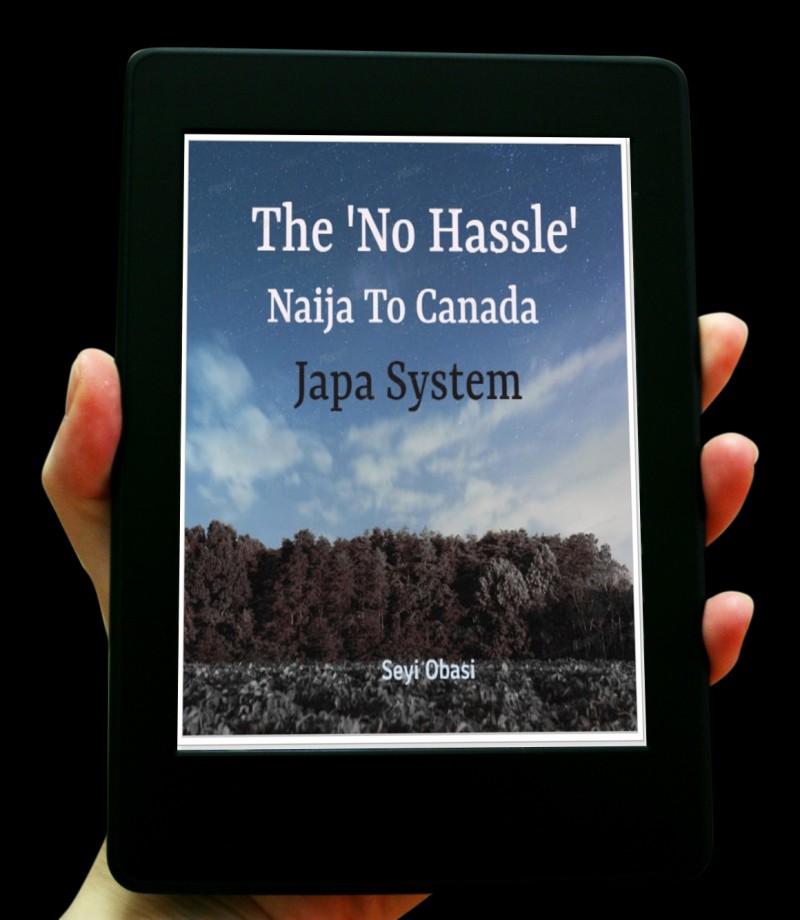 The 'No Hassle' Naija To Canada Japa System copy
