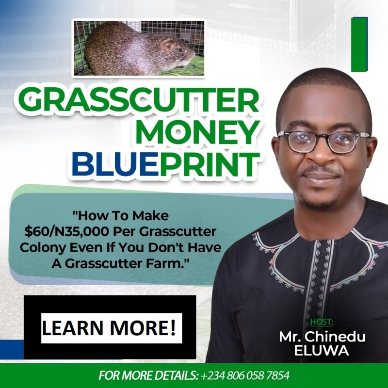 Buy GRASSCUTTER MONEY BLUEPRINT "How To Make 60/N35,000 Per