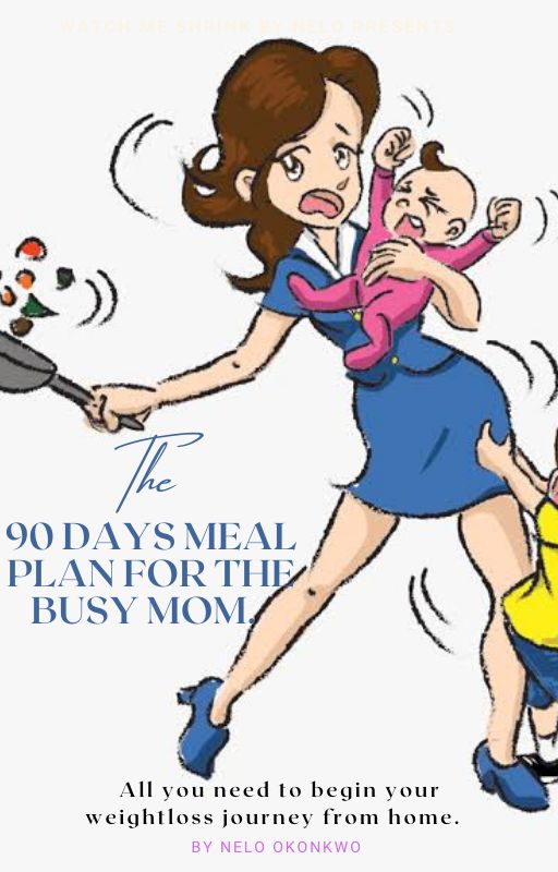 90 Days Meal Plan for the busy Mom.