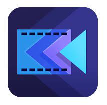 ACTION DIRECTOR PRO VERSION