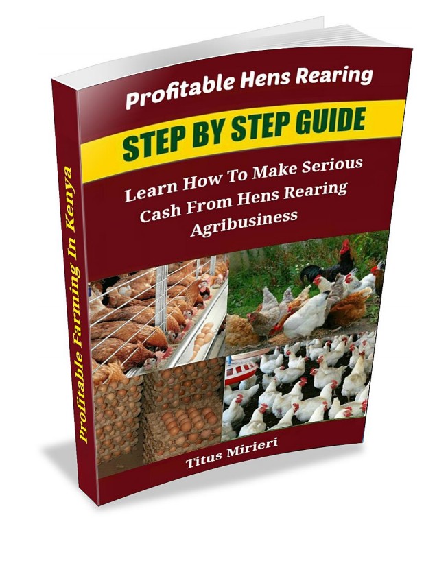 Buy Profitable Hen Rearing by Evolved Mindsets on Selar.co