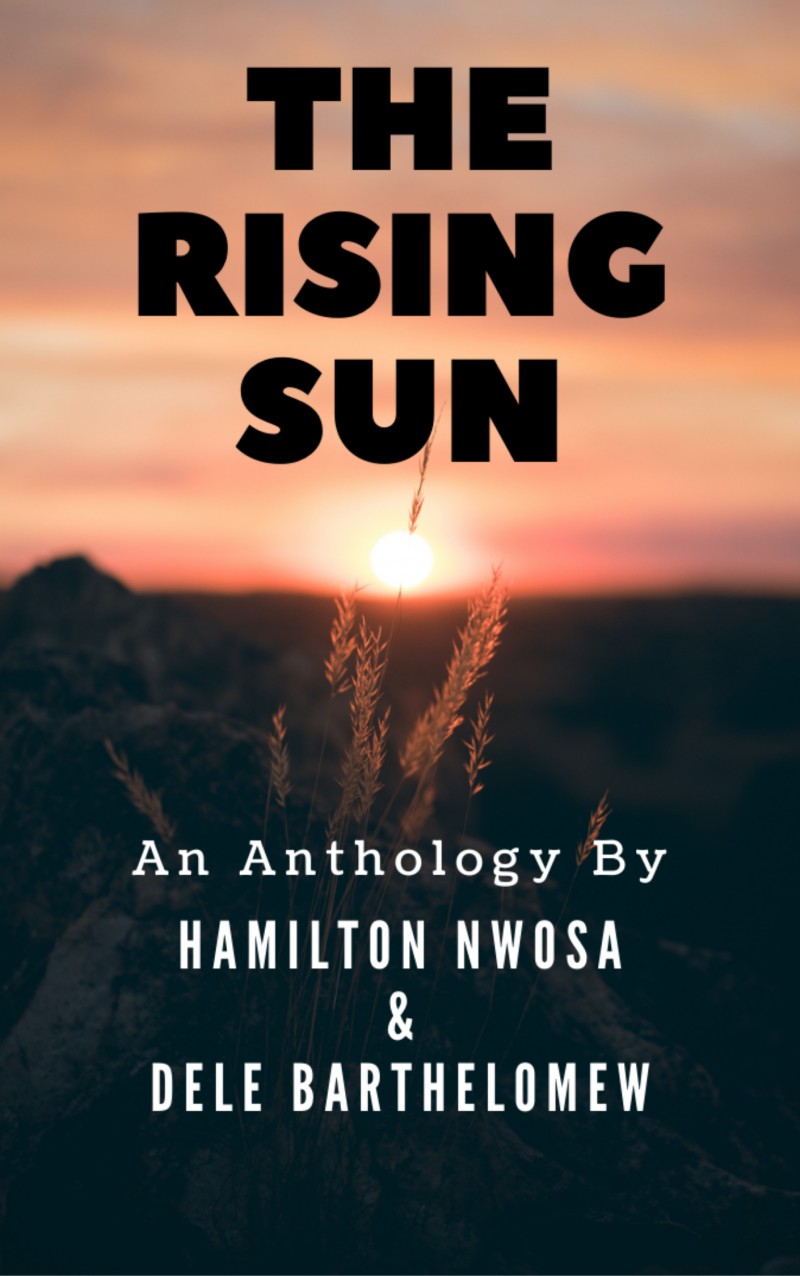 The Rising Sun - An Anthology by Hamilton Nwosa & Dele Barthelomew