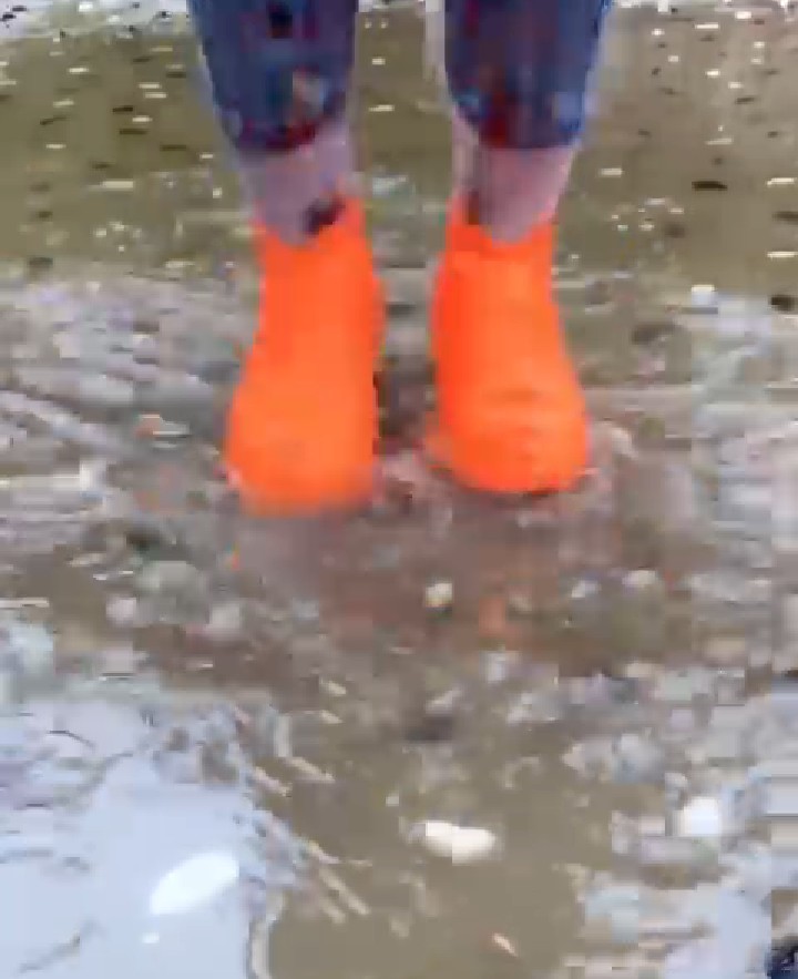 Water Proof Shoe Cover
