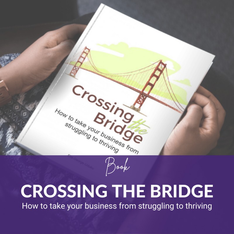 Crossing the Bridge: How to Take Your Business from Struggling to Thriving